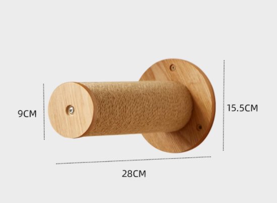 MS-CT019
